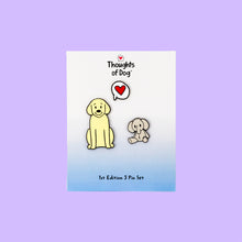 Load image into Gallery viewer, 3 Pin Enamel Pin Set