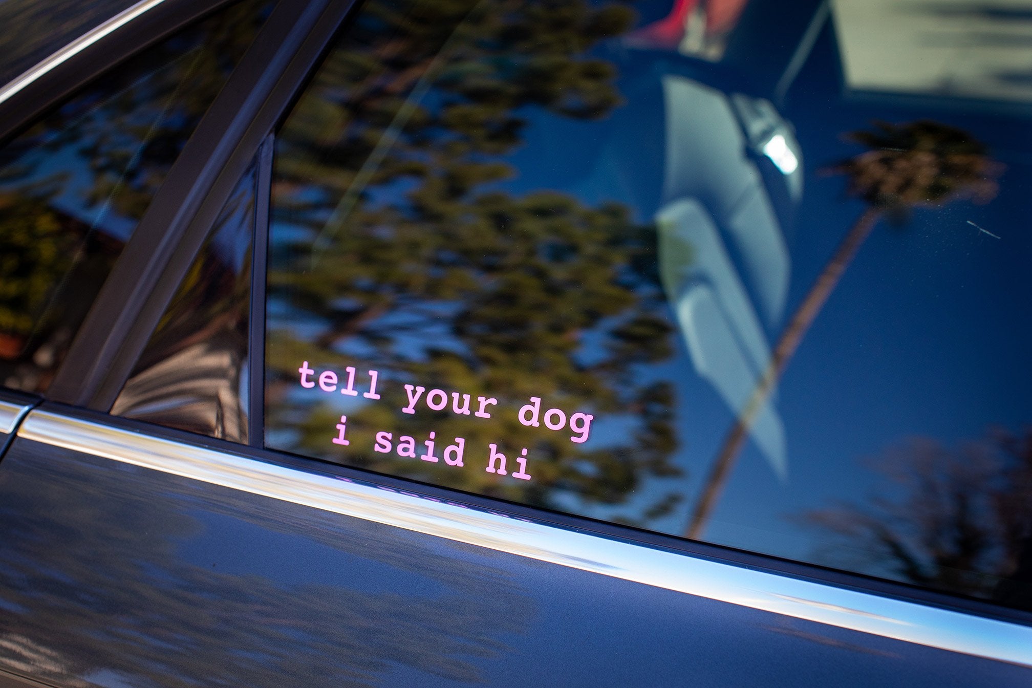 EMPIRE DESIGN Tell Your Dog I Said Hi Pet Puppy Mom Dad Funny Vinyl Car  Sticker